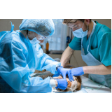 cirurgia veterinária marcar Rincão