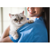 clínica com oncologia para gatos Estância Velha