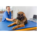 clínica especializada em fisioterapia em animais Santana