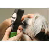 oftalmologia para animal agendar Carneiros