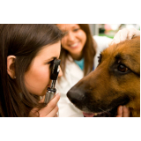 oftalmologia para animal Pindorama