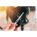 Vacinas para Animais