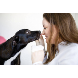 urologia para cachorros agendar Feitoria