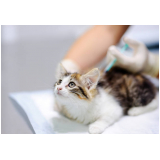 vacina para animais de estimação clínica Jardim Floresta